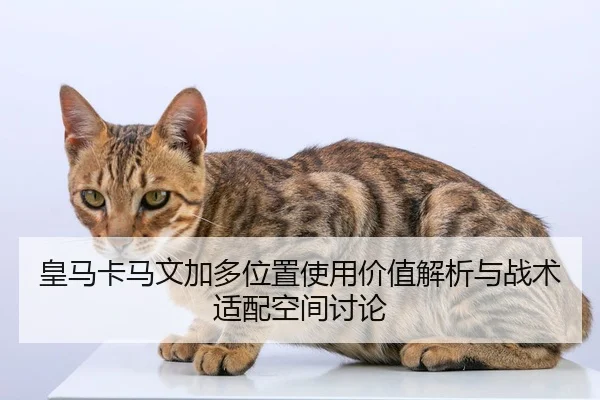 皇马卡马文加多位置使用价值解析与战术适配空间讨论（cc7c7.app）
