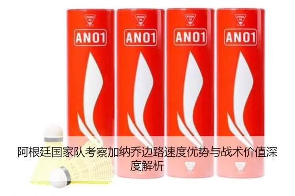 阿根廷国家队考察加纳乔边路速度优势与战术价值深度解析（cc7c7.app）