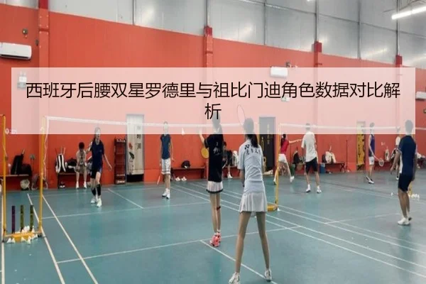 西班牙后腰双星罗德里与祖比门迪角色数据对比解析（cc7c7.app）