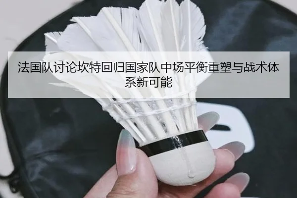 法国队讨论坎特回归国家队中场平衡重塑与战术体系新可能（c7c7）